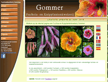 Tablet Screenshot of kwekerijgommer.com